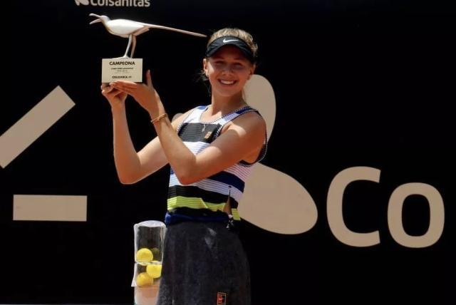 努力和坚定 努力和坚定