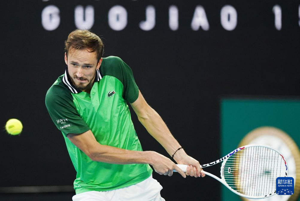 菲利克斯目 菲利克斯目