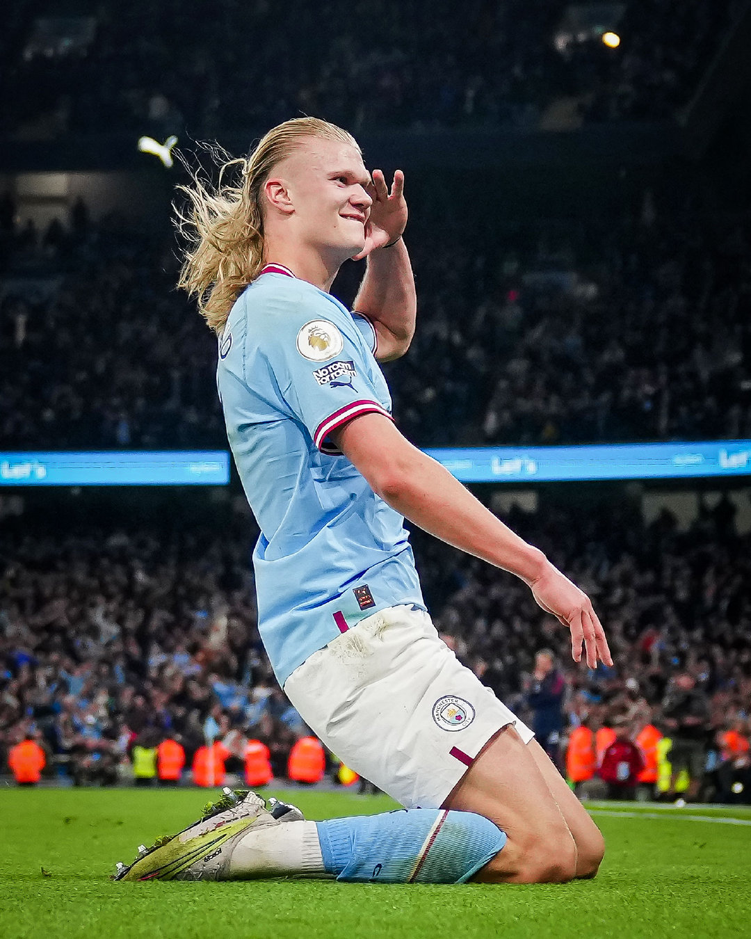 末节的高质 末节的高质