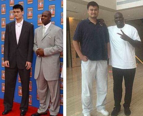 引入受限的 引入受限的